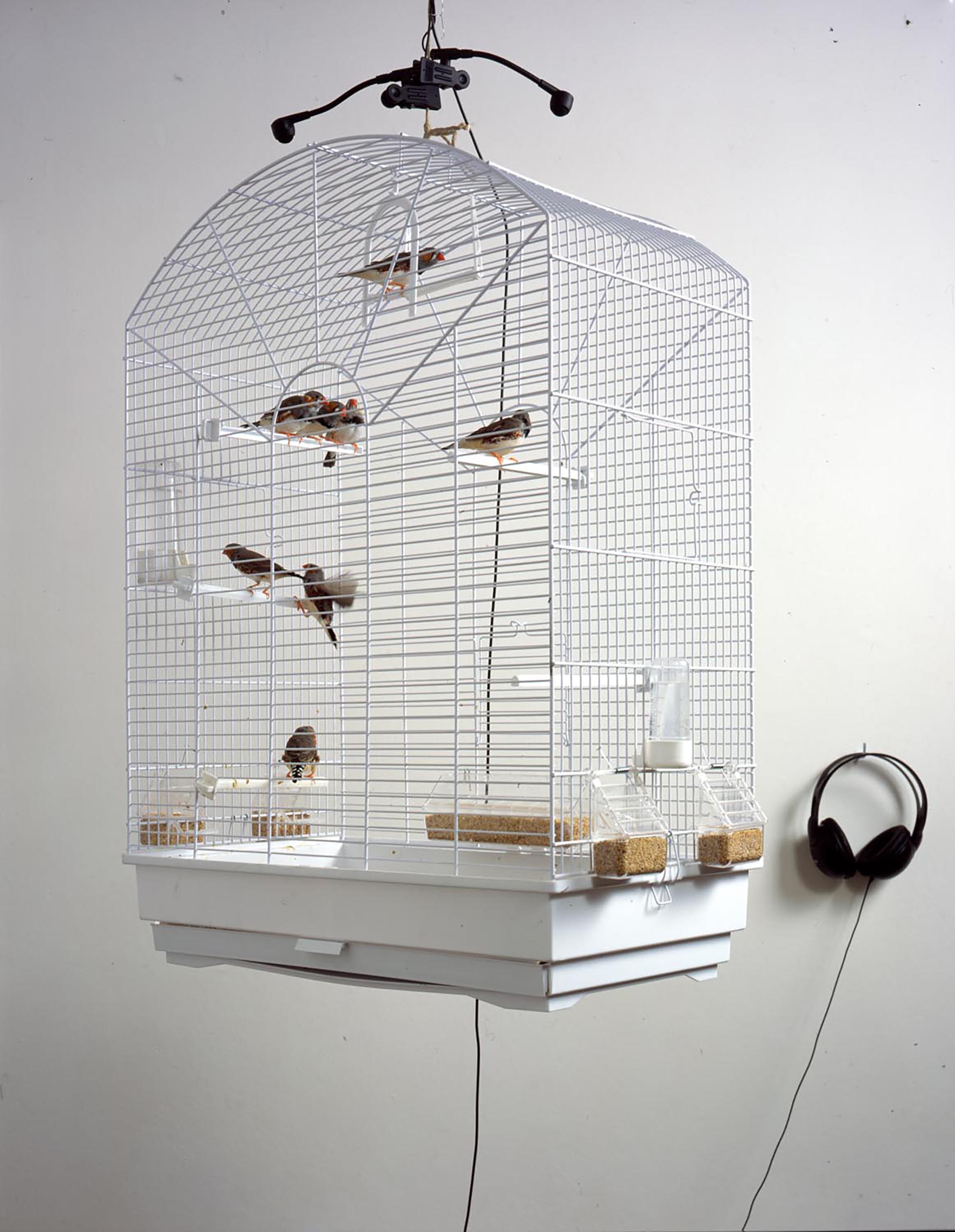 Bruna Esposito, Sereno-variabile, 2002 (detail)